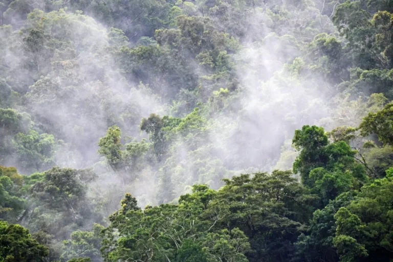 Making the Case to Automate Your Environmental Management System through EMS Software