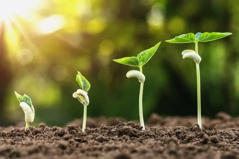 EHS Management Software