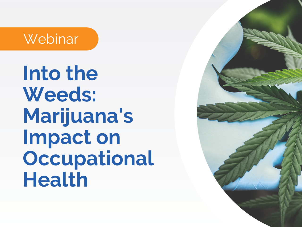 Webinar promo: Into the Weeds - Exploring Marijuana Worker Health and Occupational Safety, featuring a gloved hand holding a cannabis leaf.
