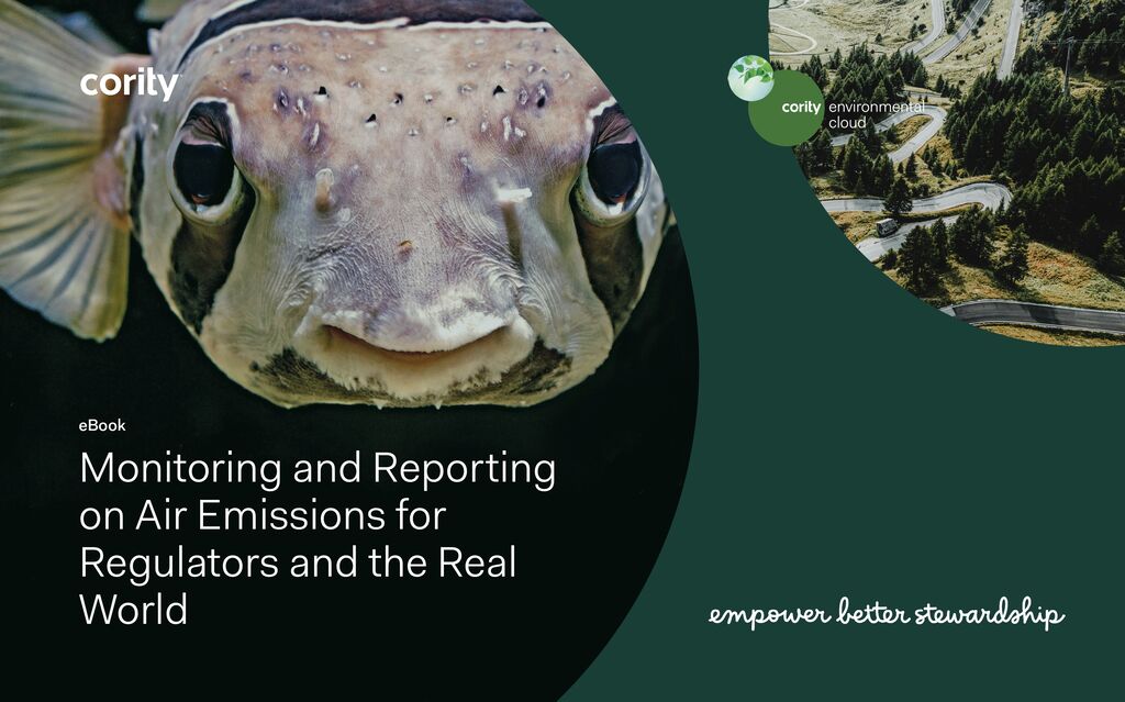 Monitoring and Reporting on Air Emissions for Regulators