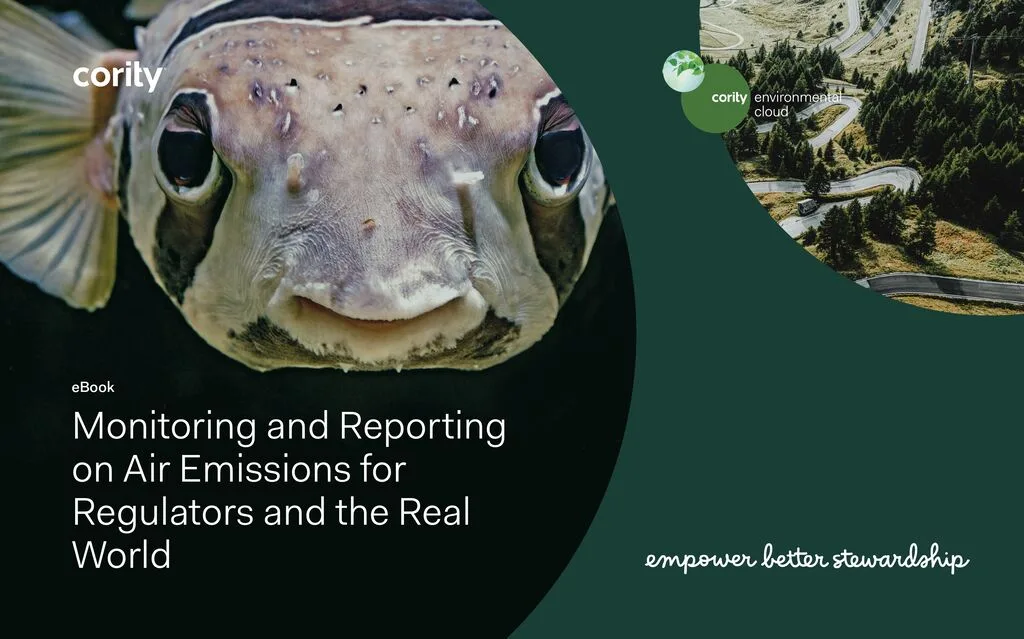 Monitoring and Reporting on Air Emissions for Regulators