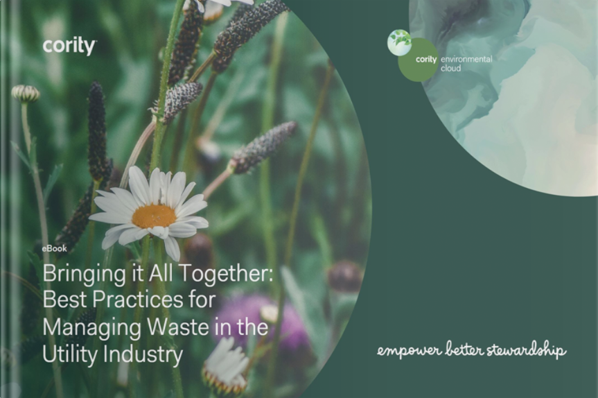 EBook cover featuring daisies, titled Best Practices for Managing Waste in the Utility Industry. This vibrant design highlights essential best practices for managing waste within the utility sector.