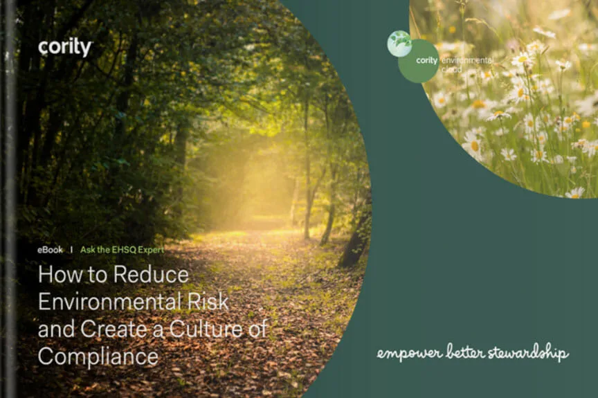 Sunlit forest path and wildflowers with text about reducing environmental risk and fostering a strong compliance culture.