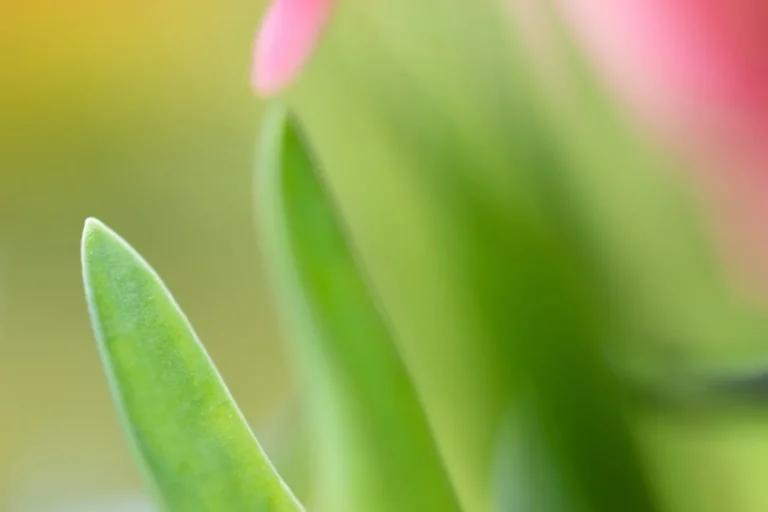 Companies that are attempting to develop effective ESG and sustainability strategies typically face these five key challenges. Learn what they are and how to overcome them.