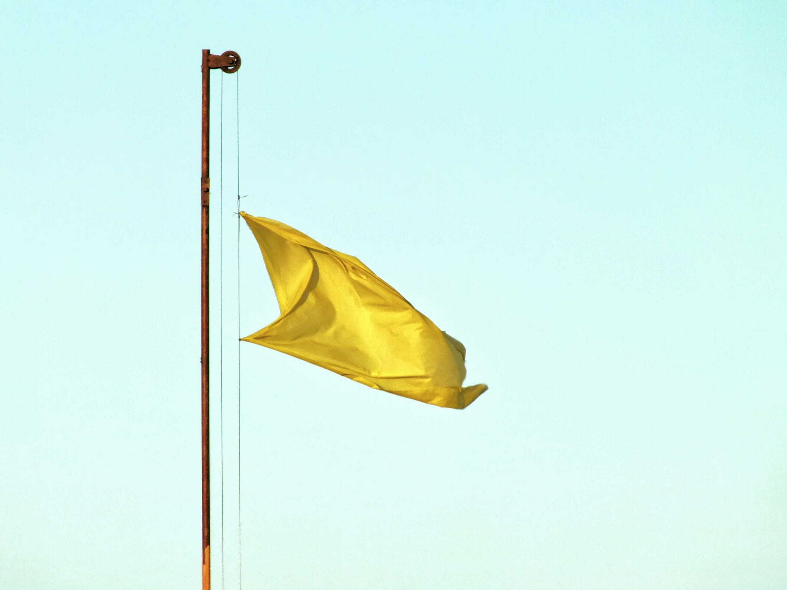 Resilient Management of Change - Photo of flag