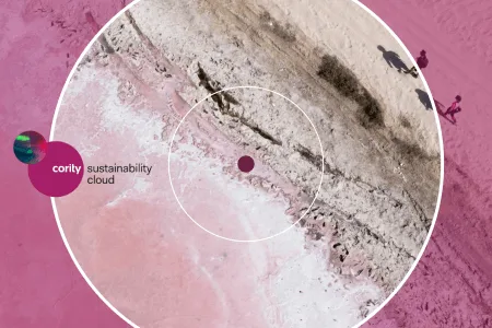 The Role of EHS in ESG and Sustainability