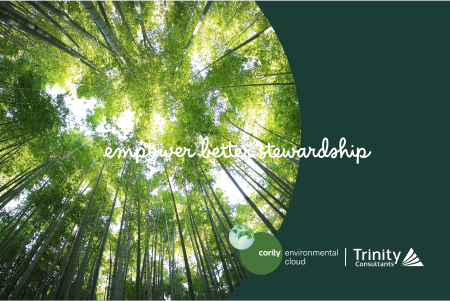 Tall green trees viewed from below with sunlight shining through, text reads empower better stewardship with GHG reductions from the Inflation Reduction Act.