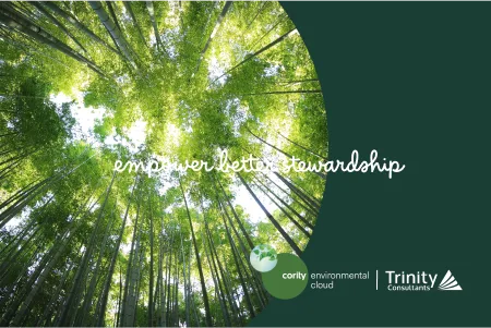 Tall green trees viewed from below with sunlight shining through, text reads empower better stewardship with GHG reductions from the Inflation Reduction Act.