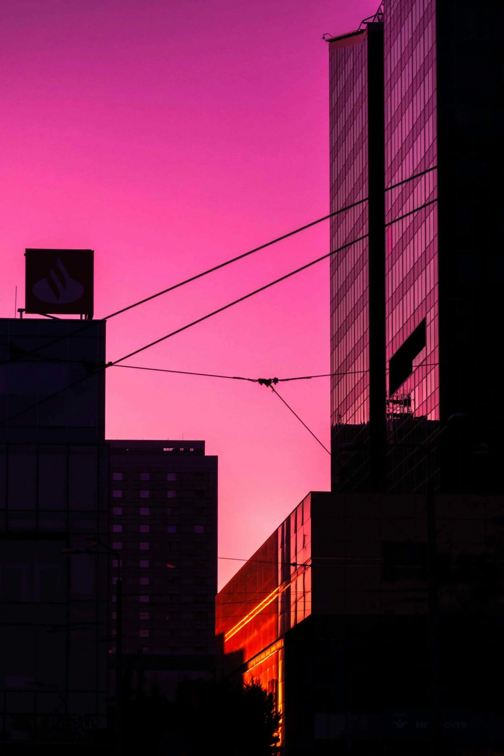 CDP reporting blog pink buildings cority