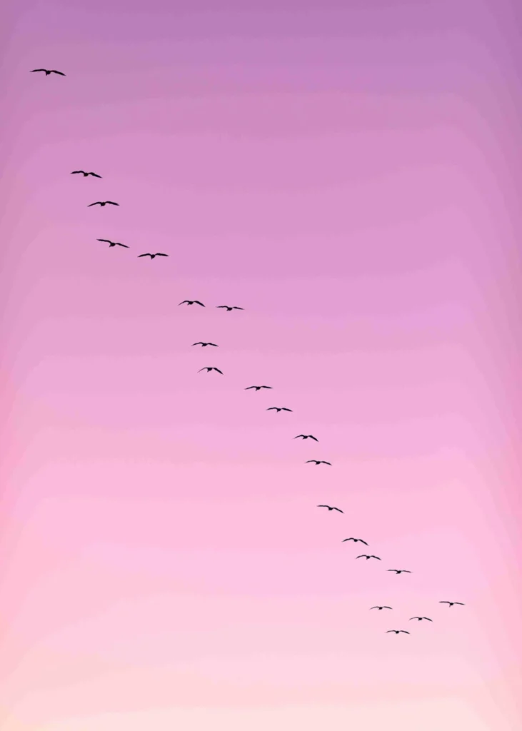 sec proposed rules blog sky birds pink cority