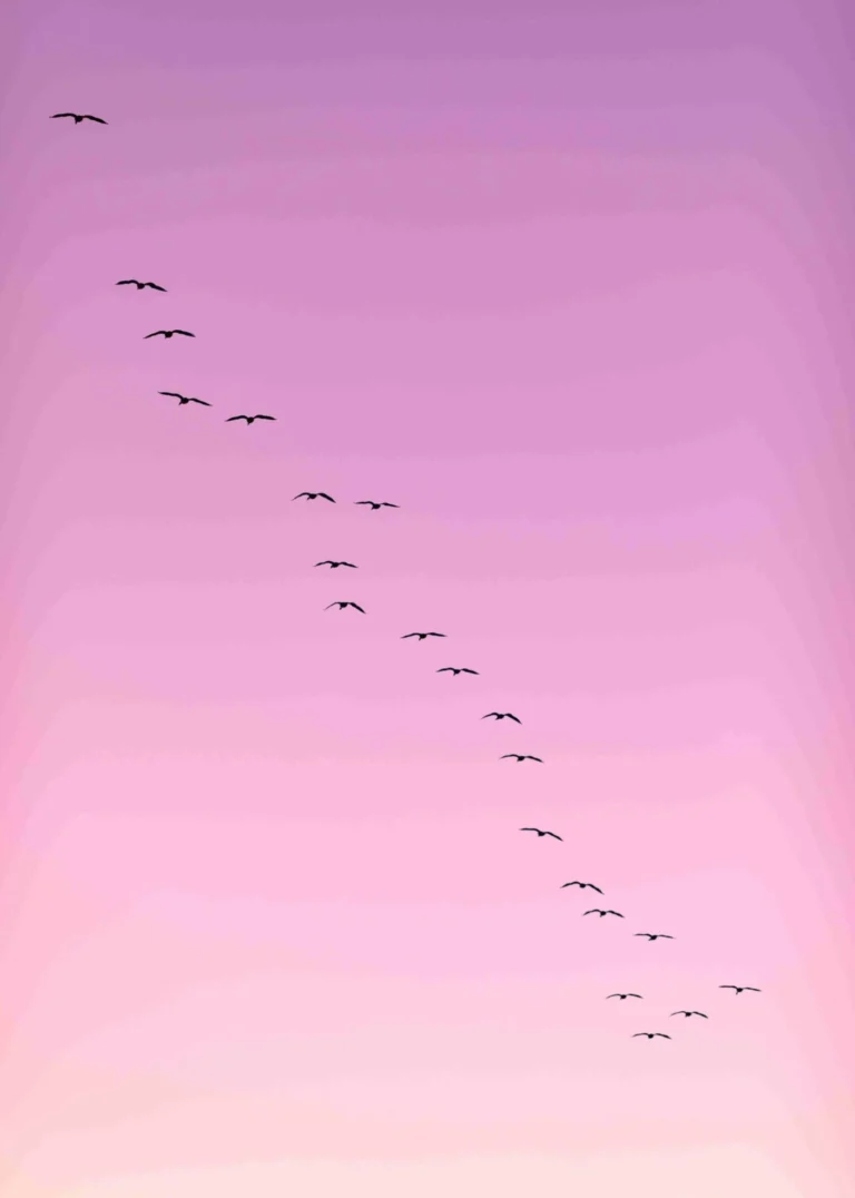 sec proposed rules blog sky birds pink cority