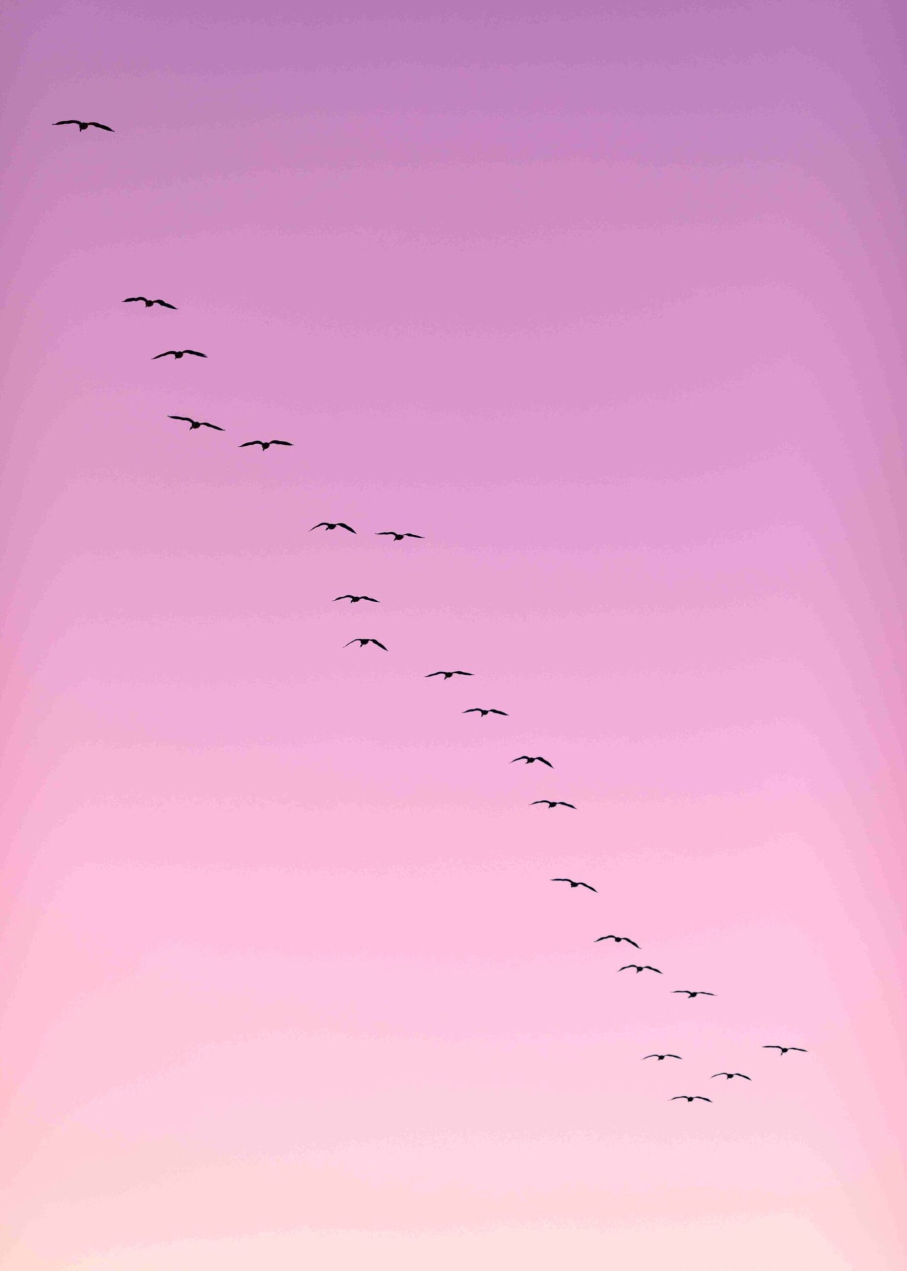 sec proposed rules blog sky birds pink cority