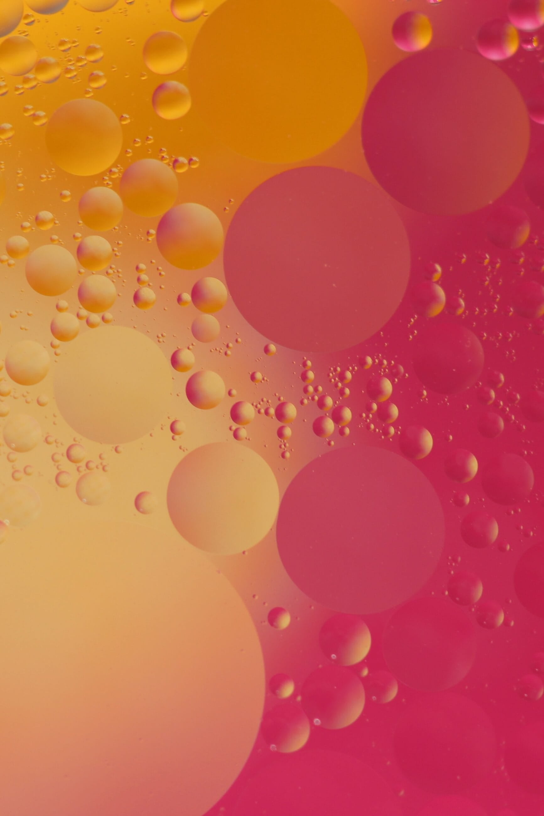 understanding sec blog bubbles pink cority