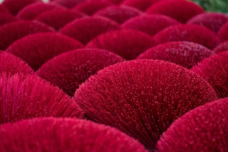 tcfd climate risk flowers pink cority
