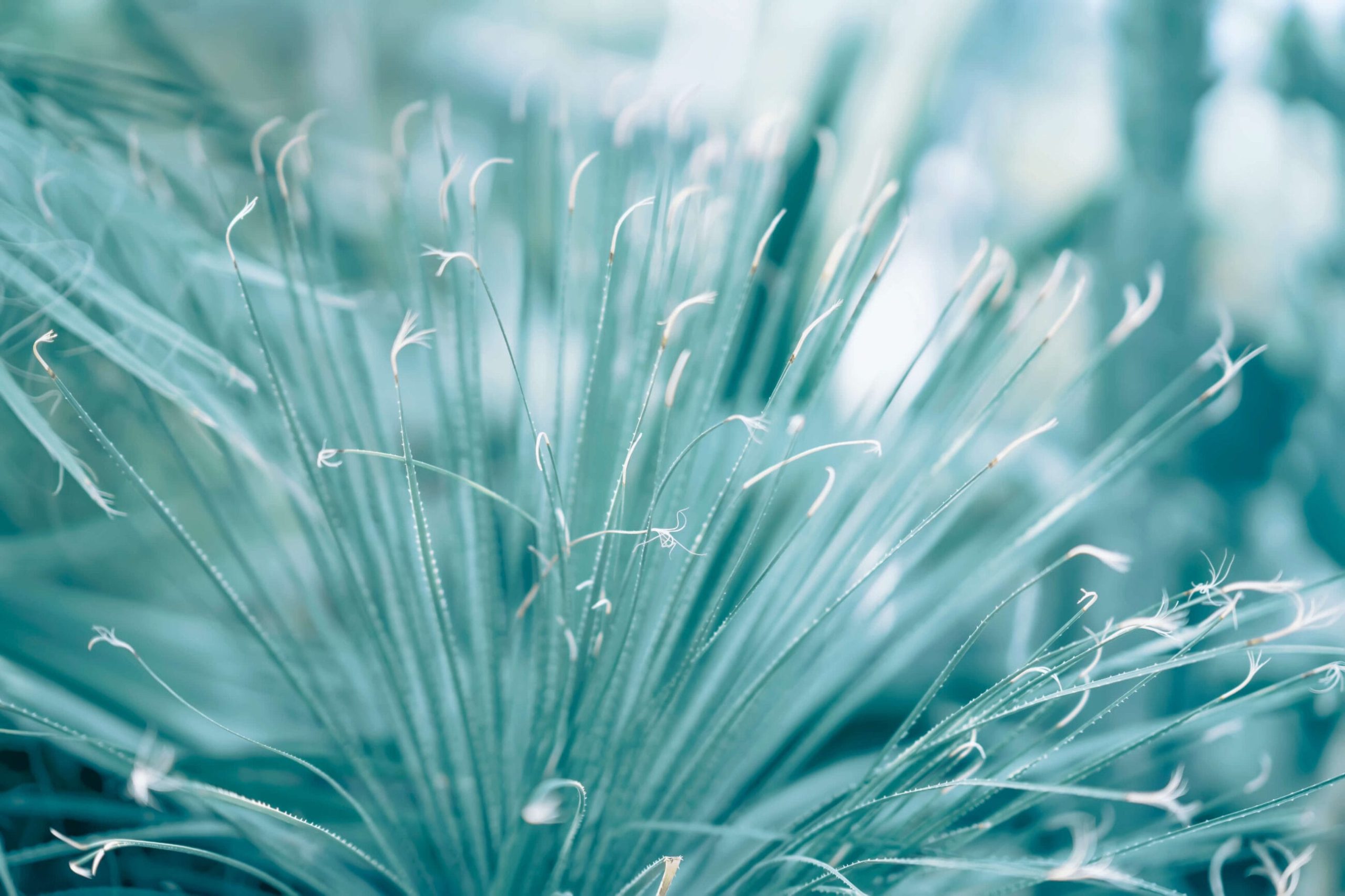 acgih interview blog blue photo cority