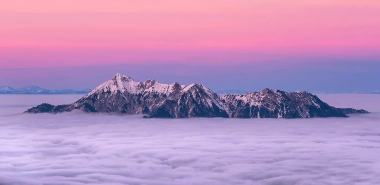 implementing csrd blog mountain pink cority