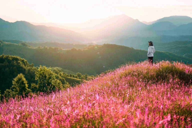 sustainability healthcare blog field flowers pink cority