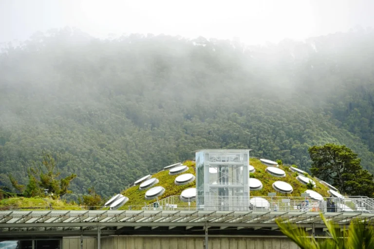 Emissions Compliance Blog Foggy Mountain Photo Cority