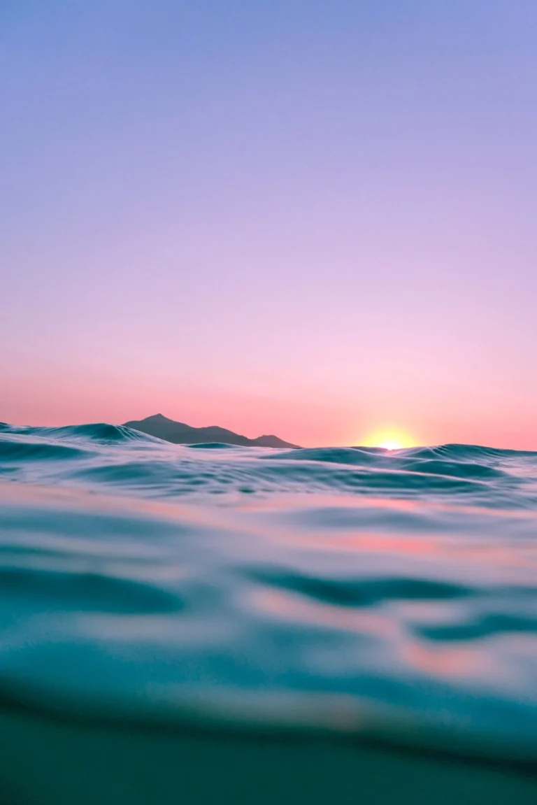eu taxonomy faqs blog sunset sea pink cority