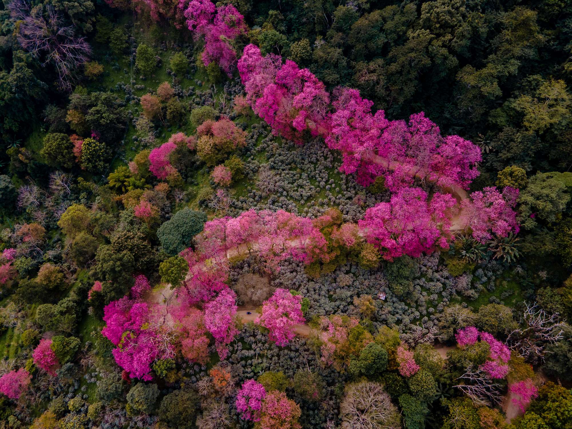 sustainability frameworks faqs blog nature landscape pink cority