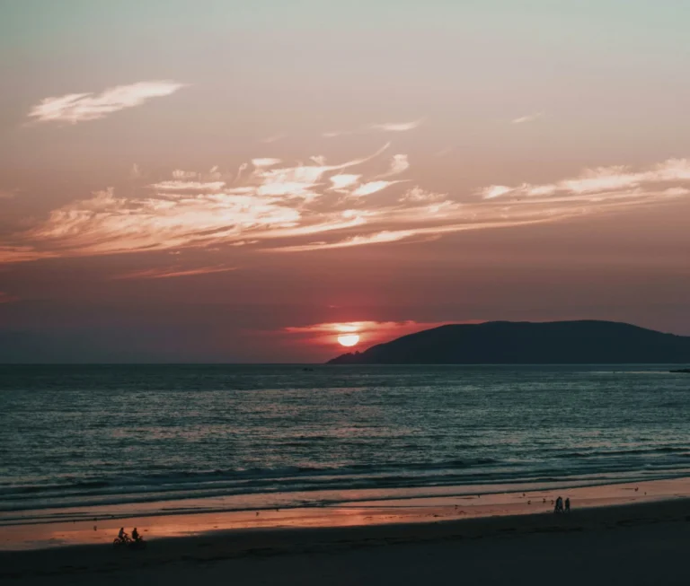 blackrock 2021 letter blog sunset beach pink cority