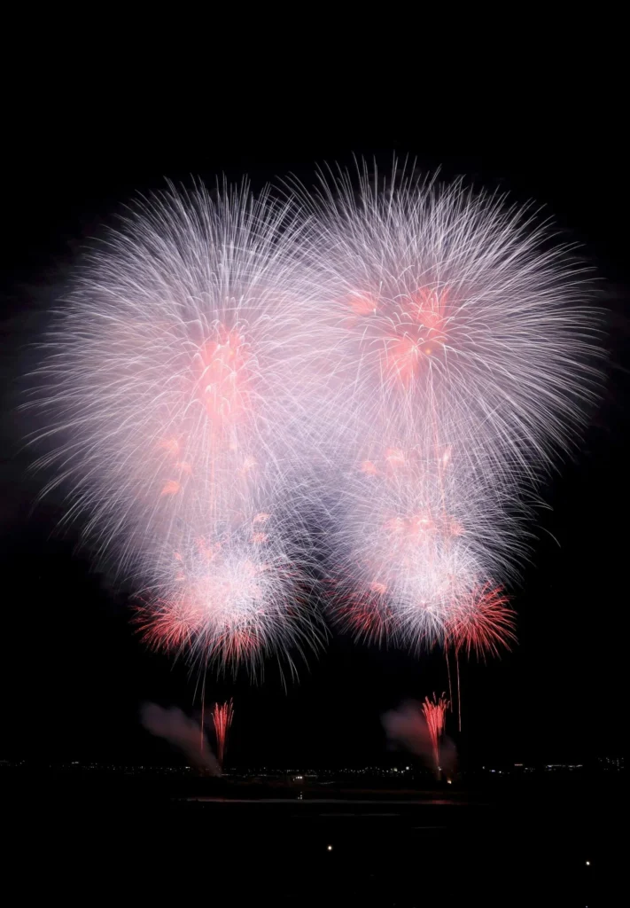 esrs issb interoperability sustainability blog fireworks pink cority