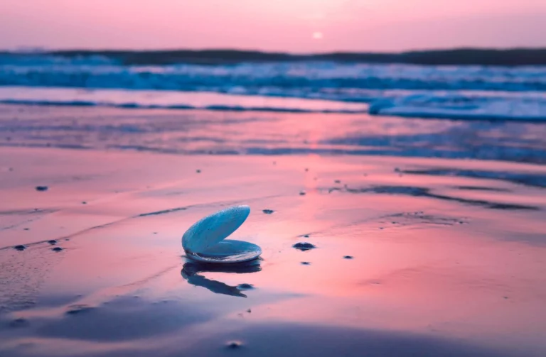 sbti report takeaways blog beach pink cority