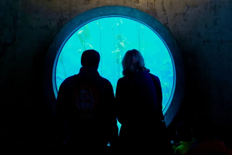 Occupational Health Clinic Software Blog People at Aquarium Photo Cority
