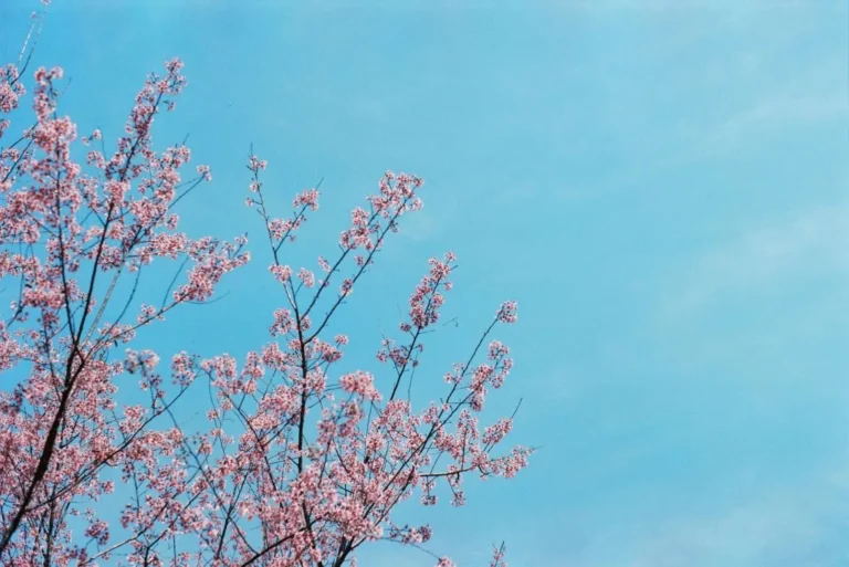 questions non financial reporting blog sky tree pink cority