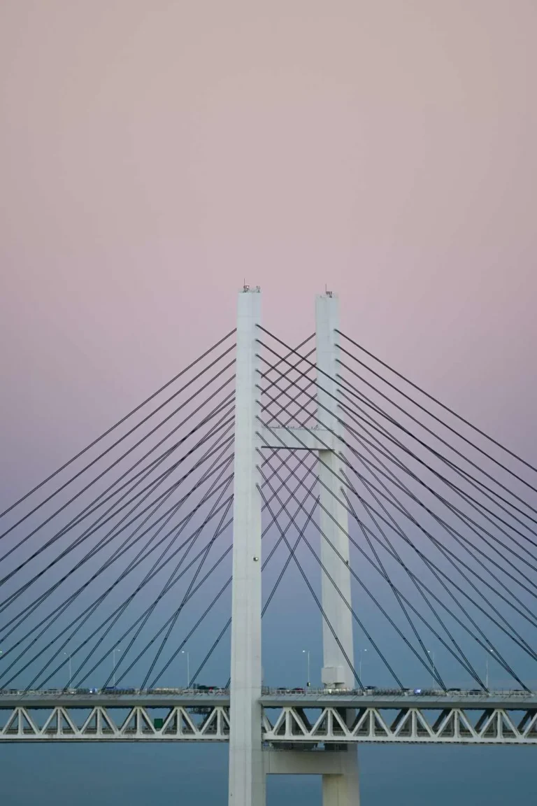 sustainability benchmarking blog bridge pink cority