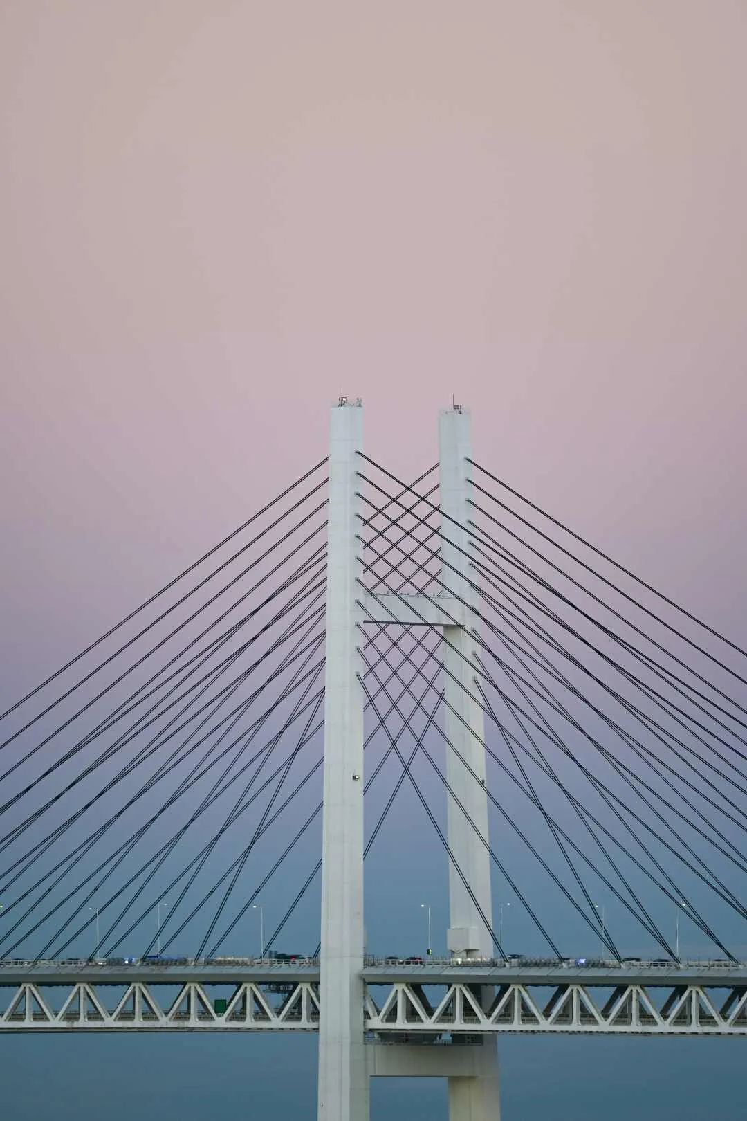 sustainability benchmarking blog bridge pink cority