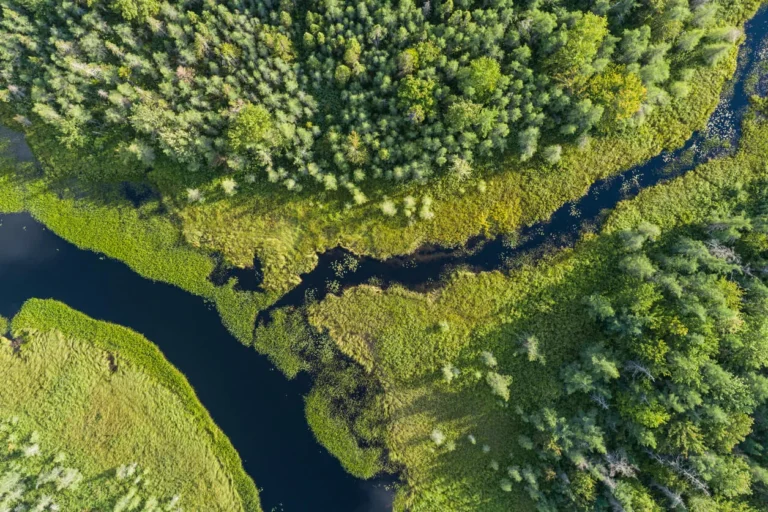 how to create an effective waste management program blog trees and stream photo cority