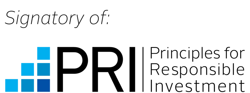 A series of five blue squares stacked in a staircase pattern on a white background, representing the progressive steps of ESG Standards.