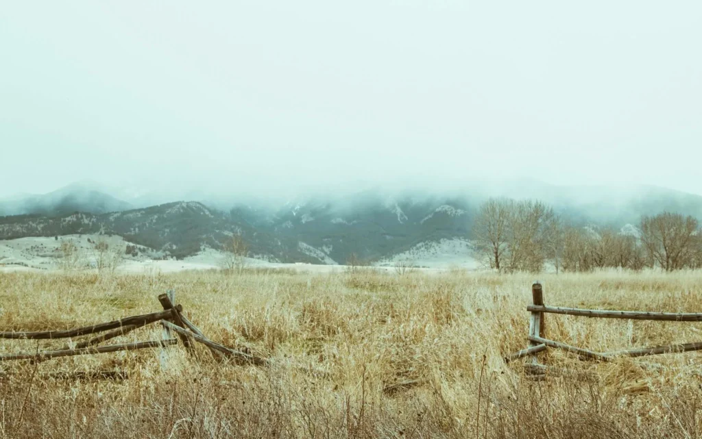 Broken wooden fence in a dry field with foggy mountains and bare trees in the background, illustrating the key benefits of circular economy practices for EHS professionals striving to restore and preserve natural landscapes.