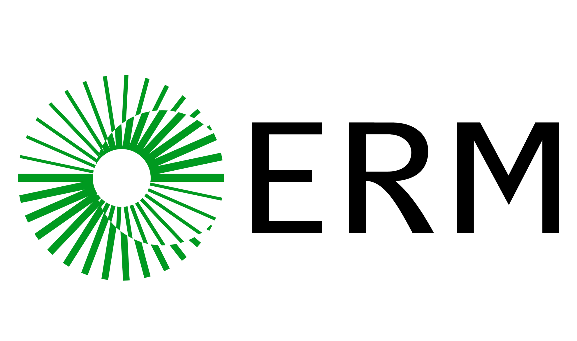 A green circular abstract design made of radiating lines sits to the left of bold black capital letters spelling ERM on a white background.
