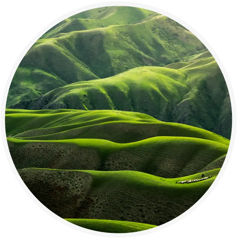 Rolling green hills with smooth, undulating shapes under soft sunlight, creating a serene and vibrant landscape.