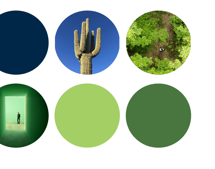 Six circles in two rows: top row shows a dark blue circle, a cactus against a blue sky, and a forest with a small path; bottom row shows a regaction-themed hallway with green light, a light green circle, and a dark green circle.