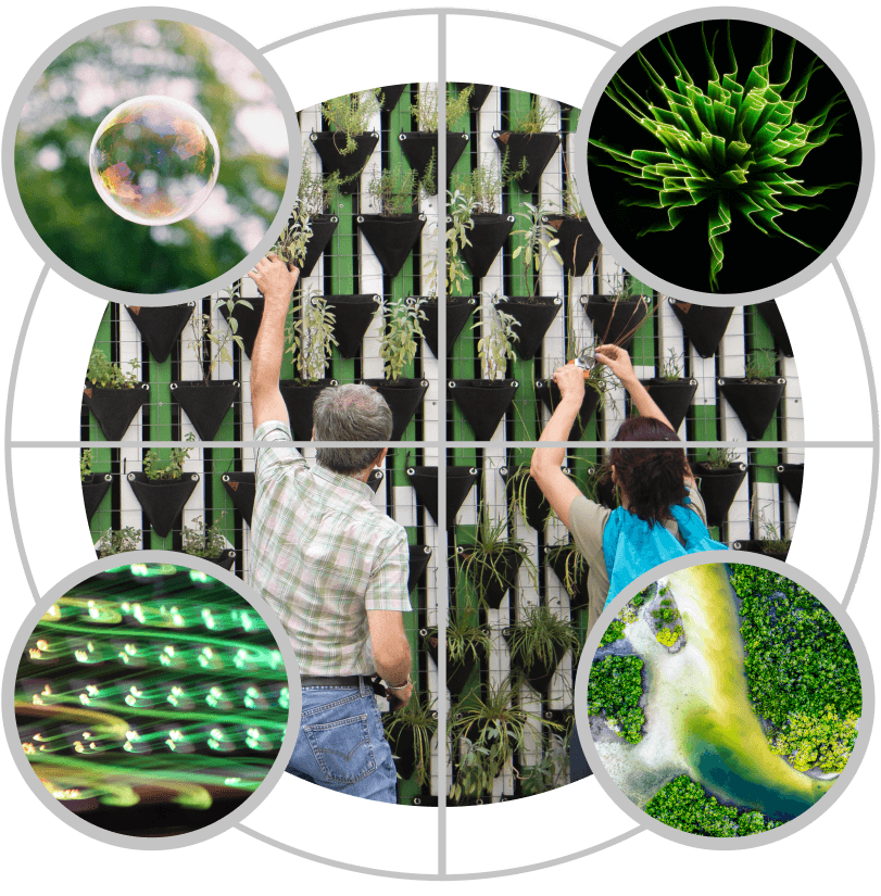 A collage with a central image of two people tending to a regaction-inspired vertical garden, surrounded by circular images of a bubble, green abstract shapes, green lights, and a river winding through lush greenery.
