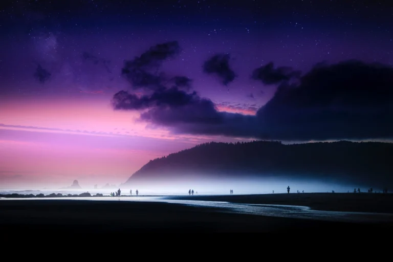 Silhouetted figures walk along a misty beach at dusk, beneath a glowing purple and pink sky with dramatic clouds, as a forested headland rises in the distance. The serene scene echoes Cority’s software vision for clarity in EHS management.